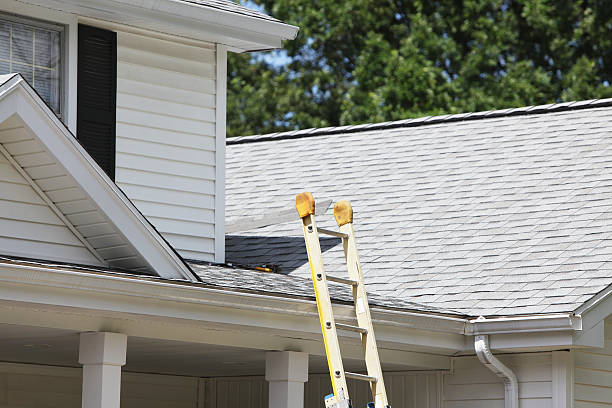 Best Hoarding Cleanup  in Affton, MO